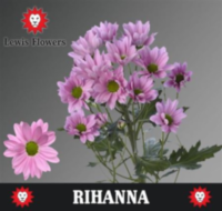 Chr T Rihanna
