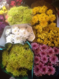 Chrysanth Elle Fleur