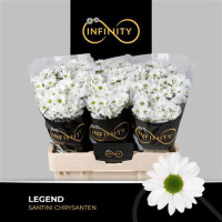 Chr Santini Legend X25