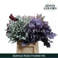 Листя дуба Mix 60 cm