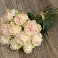 Rose Wedding Rose 50 sm - r_gr_garden_wedding_spirit