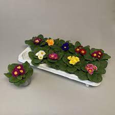 Primula Mix 9/12