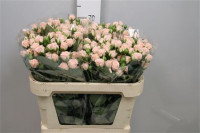 Spray Romantic Bubbles 80 sm