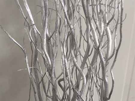 Salix Silver