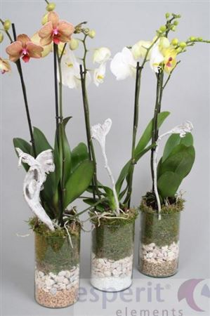 Arrangement 4-tak White Keramiek 26/70