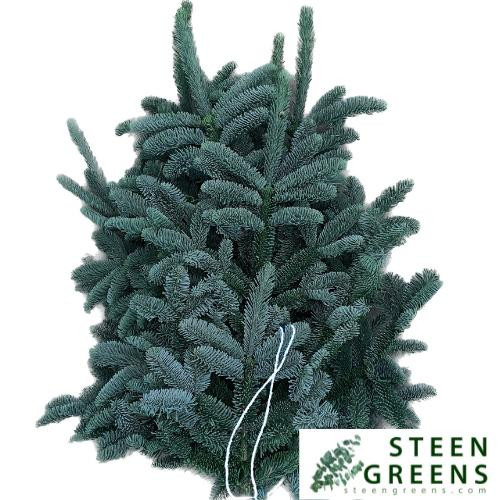 Abies Nobilis Blauw 3 kg