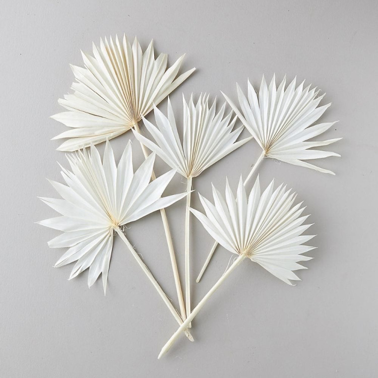 Df Palm Sun Medium Bleached 45 cm Holland