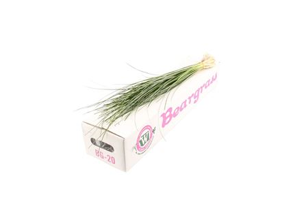 Beargrass Export X 20