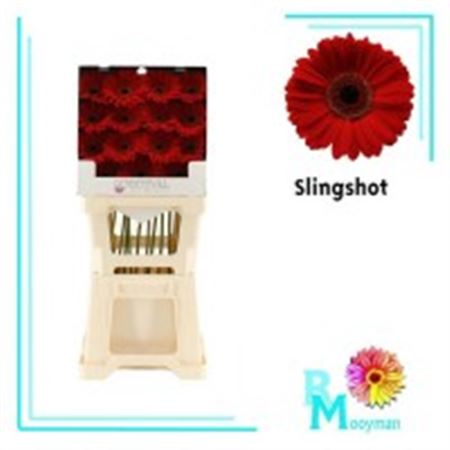 Ge Gr Slingshot