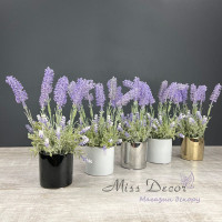 Lavender Edelweiss 12/30