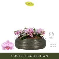 Arrangement Multiflora 38/35