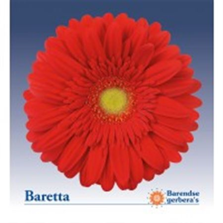 Ge Gr Baretta