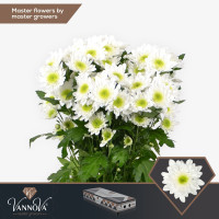 Chr T Radost 90 g X5