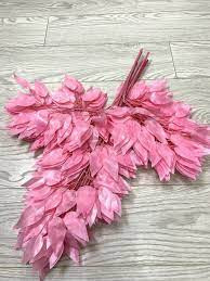 Quercus Rubra Pink