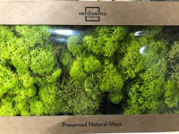 Moss Icelandic 500g Darkgreen