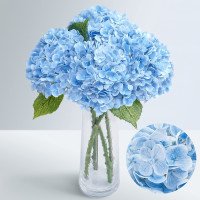 Hydr S Teresa Blue X5 -60cm