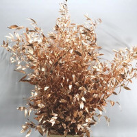 Ruscus Copper 60 cm