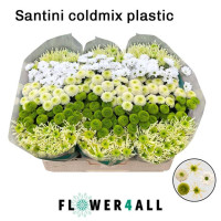 Chr Santini Cold Mix  X25
