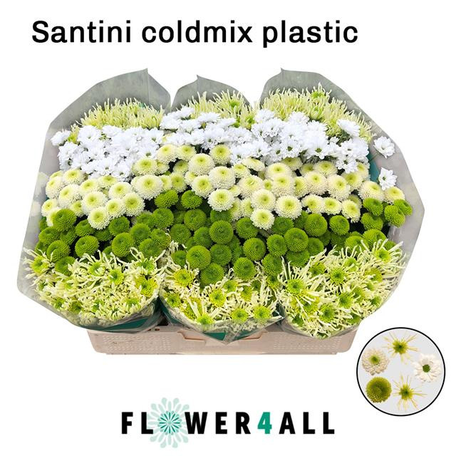 Chr Santini Cold Mix  X25