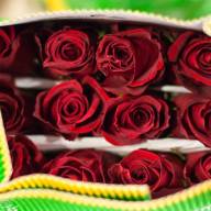 Freedom 110 sm Ecuador - New-Covent-Garden-Flower-Market-Product-Profile-Report-February-2015-Red-Roses-Flowerona-14