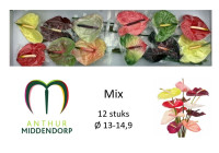 Anth S Mix X20