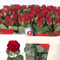 Rose Red Ribbon 40 sm Х10