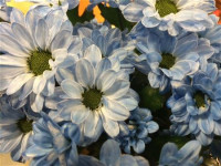 Chr Santini Light Blue X25