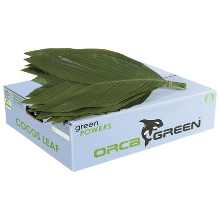 Cocos Medium Doos Orca
