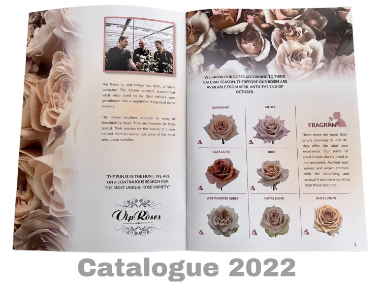 Vip Brochure Vip Assortiment
