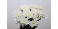 Chr T Baltica Decorum 95g X5