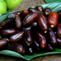 Aubergine Planten