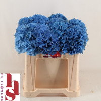 Hydr Z  Blauw Select X5 Holland