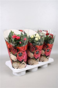 Rosa Favoriet Mix (clock)
