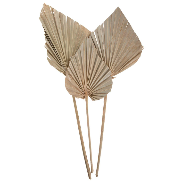 Df Palm Spear Medium Natural 45 cm Holland Х10