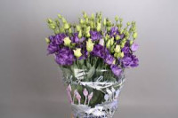 Lisianthus Fleurelisa Blue Holland