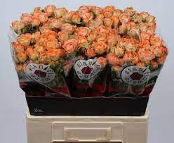Spray Juice Sensat 50 sm