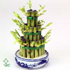Draclucky Bamboo Stepstairs 3 Big