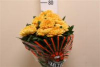 Chr G Rossano Orange
