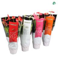 Anthurium An Mix 17/60 - 5017195d-527c-4b2b-8dc6-faf0ad08943d