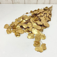 Eucalipt Populus Bes Gold
