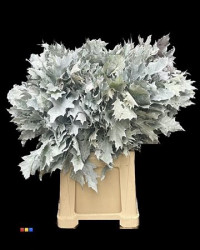 Eikeblad Frosted Silver 80 sm