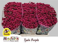 Chr Santini Tyolo Pink X25