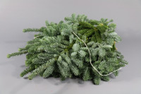 Nobilis Witband 5 kg
