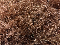 Solidago Koper 80 sm