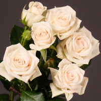 Spray Royal Porcelina 70 sm