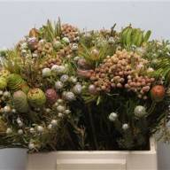 Brunia Cone MIX X10 - Brunia Cone MIX