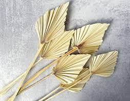 Df Palm Spear Medium Bleached 45 cm Holland