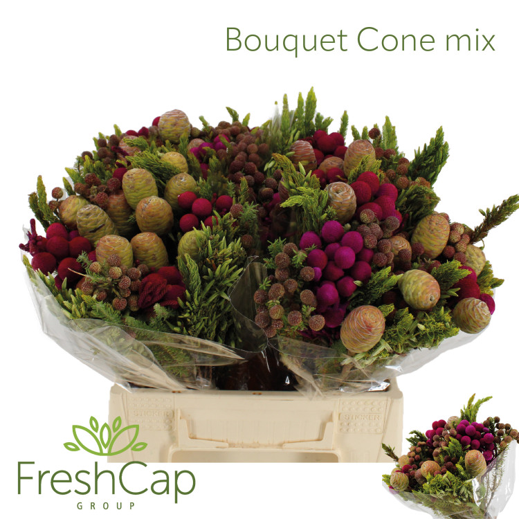 Bouquet Cone MIX Colour Treated (пачка)