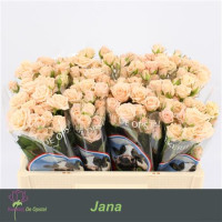 Spray Jana 80 sm
