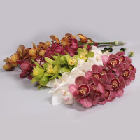 Cymb T Gem 50 cm Holland